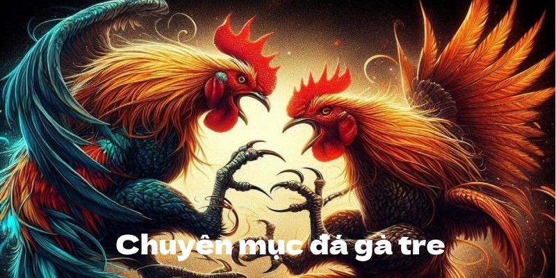 Đá gà tre lôi cuốn, hấp dẫn 