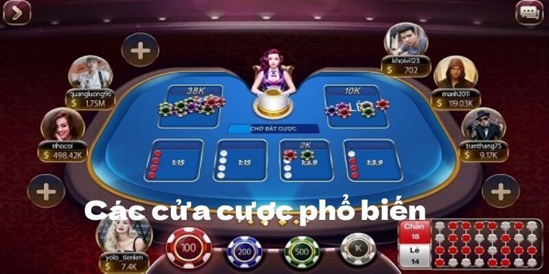 Tìm hiểu các cửa cược trong game